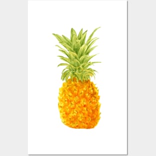 Pineapple. watercolor Posters and Art